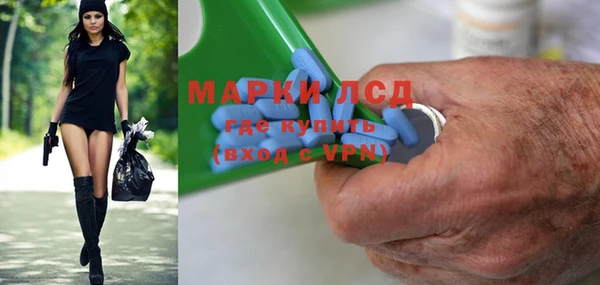 индика Алексин