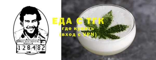 индика Алексин