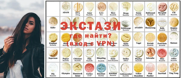 индика Алексин