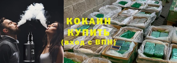 индика Алексин